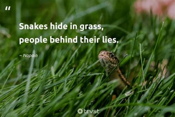 45 Quotes About Snakes in the Grass