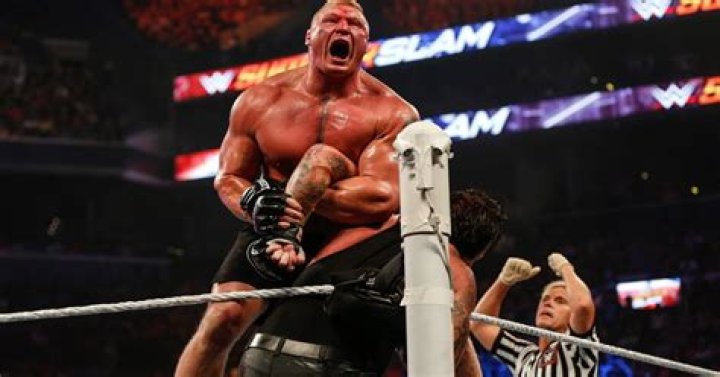 Brock Lesnar Fortune