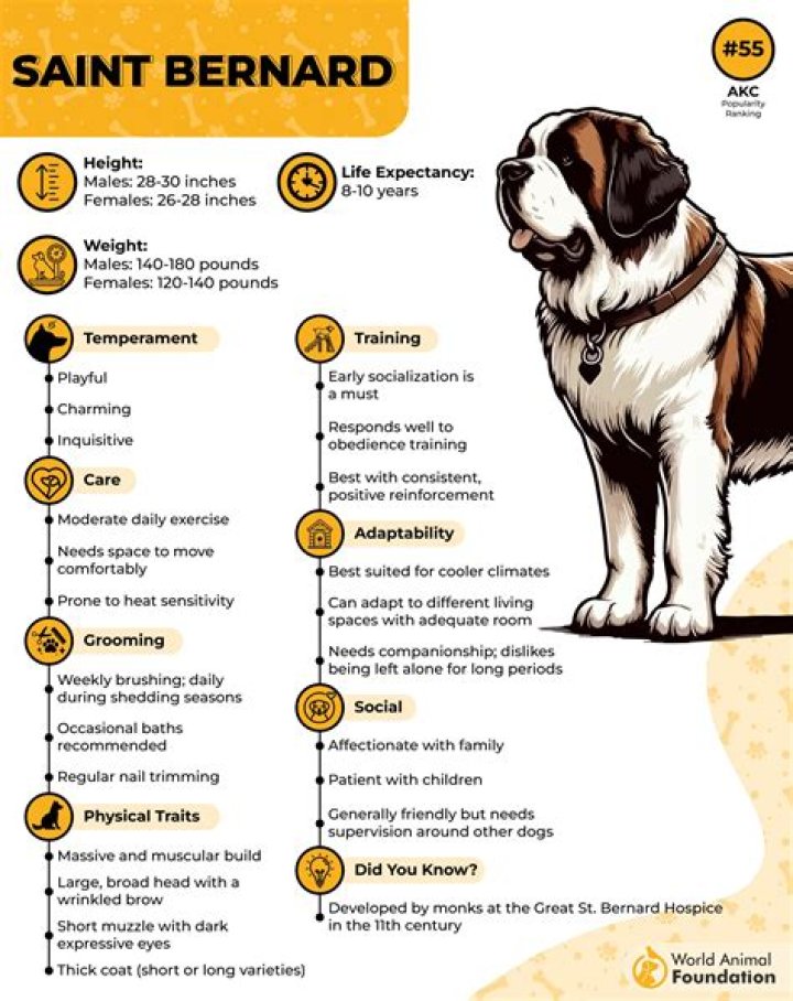 ‘Buried by The Bernards’ Debbie Bernard: Age, Height, Wikipedia, Instagram, Husband, Net Worth!