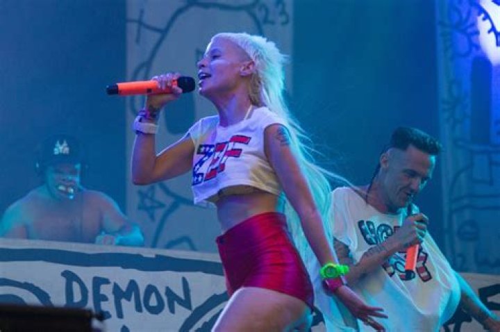 Die Antwoord Fortune