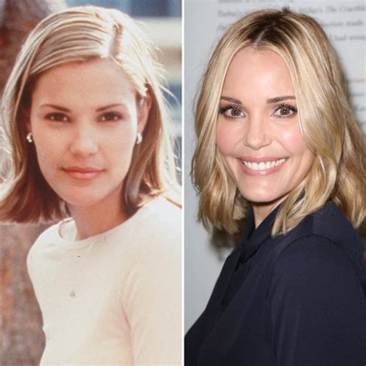 Leslie Bibb Plastic Surgery Before and After
