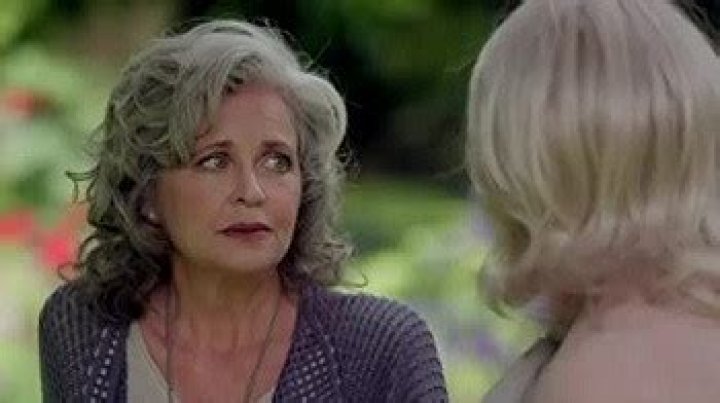 Michele Scarabelli – Net Worth, Movies, Airwolf, Husband, Children, Bio, Wiki