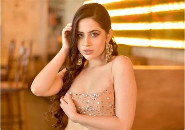 Urfi Javed Biography: Boyfriend, Net Worth, Instagram, Age, Wikipedia