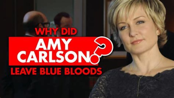 Why Did Amy Carlson Leave Blue Bloods, What Is She Doing Now?